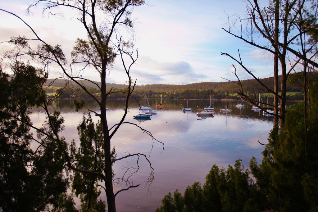 Tranquil Point Guest House Cygnet Exterior photo