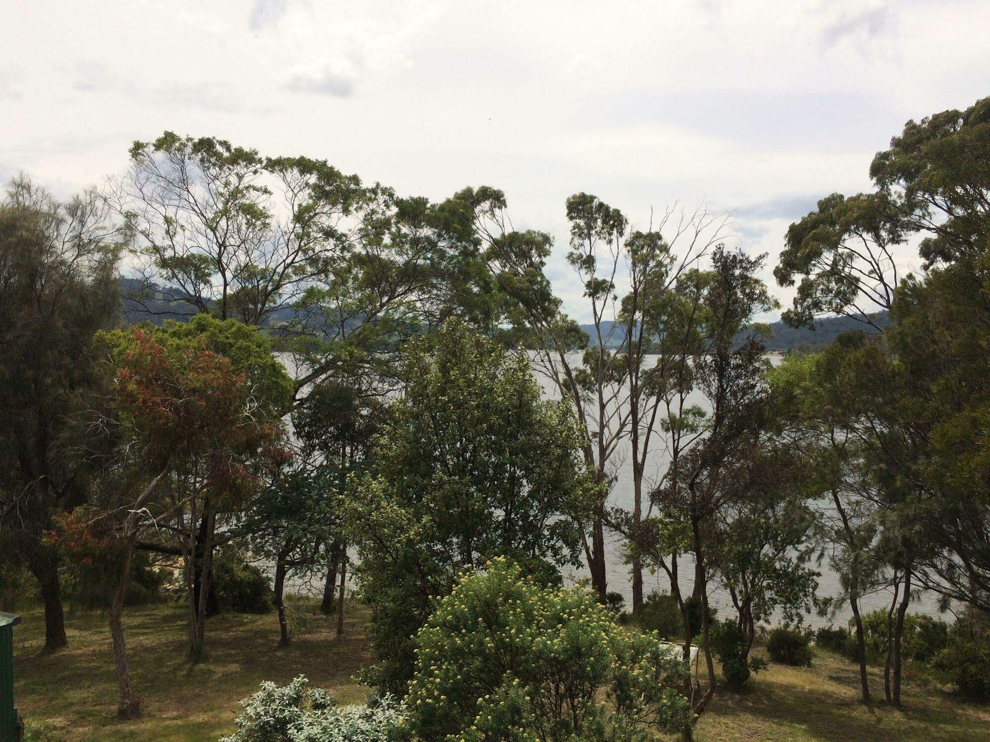 Tranquil Point Guest House Cygnet Exterior photo